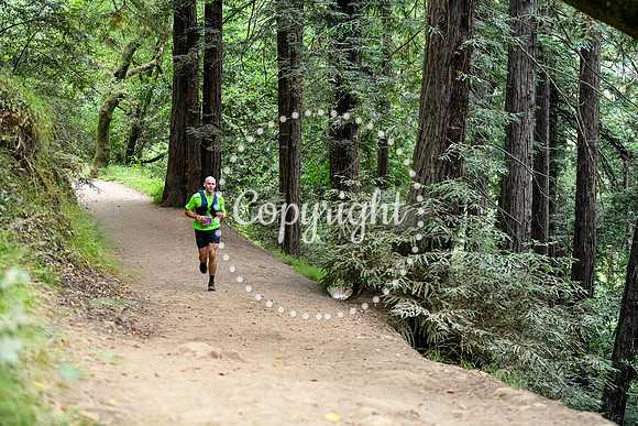 Coastal_RedwoodSummer-052