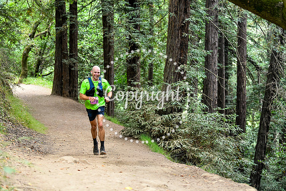 Coastal_RedwoodSummer-049