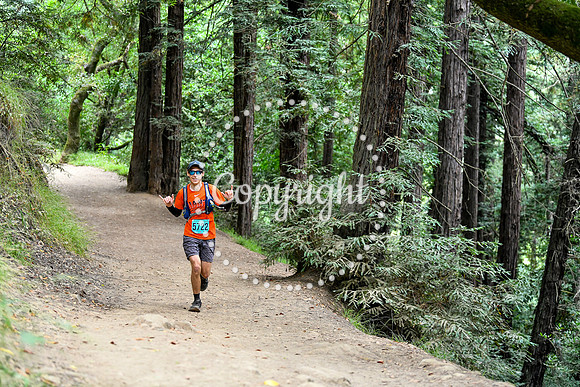 Coastal_RedwoodSummer-105