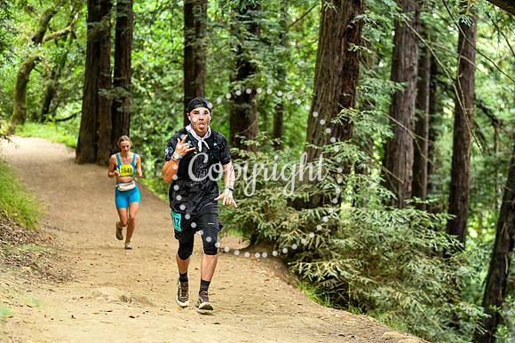 Coastal_RedwoodSummer-024