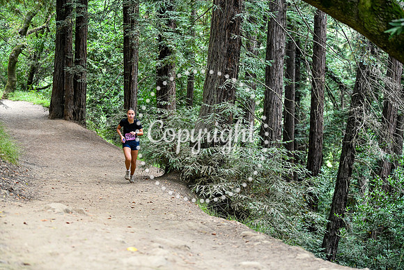 Coastal_RedwoodSummer-103
