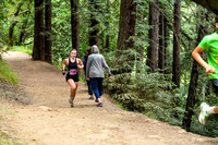 Coastal_RedwoodSummer-003