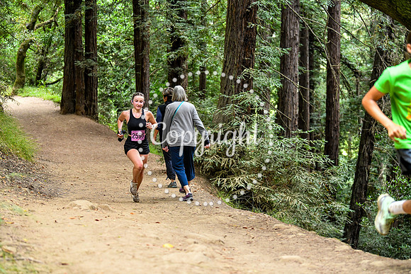 Coastal_RedwoodSummer-003