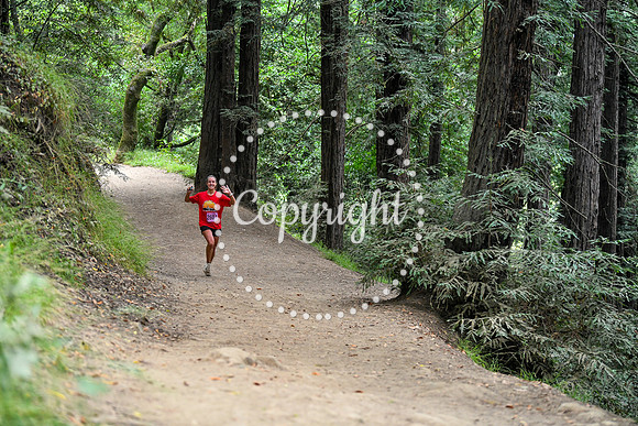 Coastal_RedwoodSummer-074