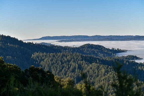 CoastalHorseshoe_Lake-001