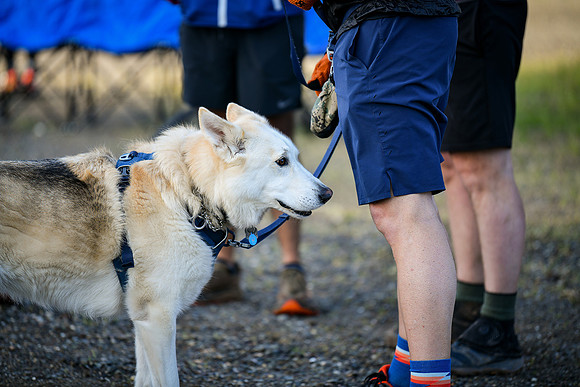 Ascend Trail Running-40