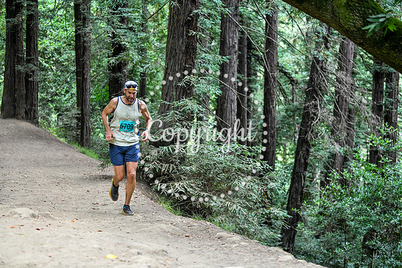 Coastal_RedwoodSummer-101
