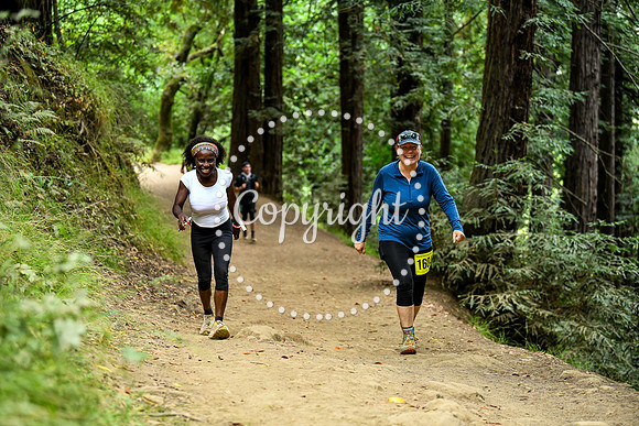 Coastal_RedwoodSummer-027
