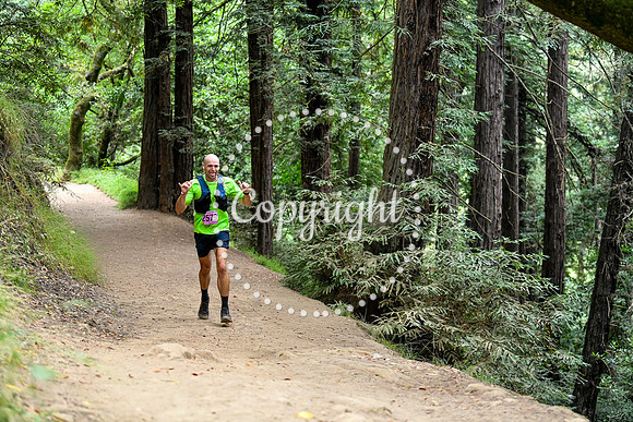 Coastal_RedwoodSummer-051