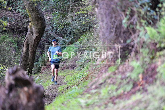 Angel Island-138