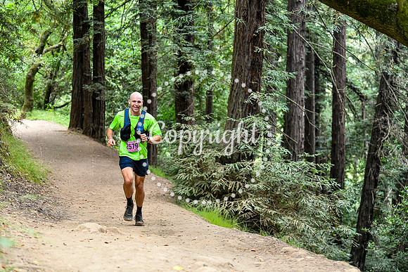 Coastal_RedwoodSummer-047