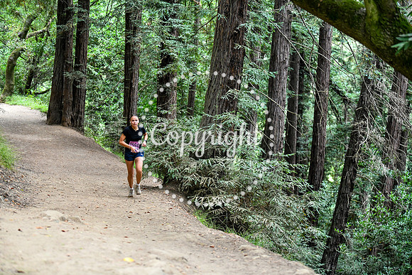 Coastal_RedwoodSummer-102