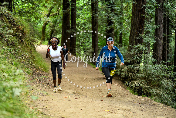 Coastal_RedwoodSummer-028