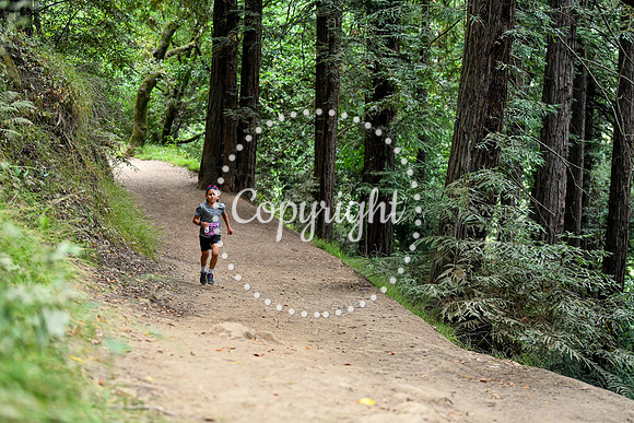 Coastal_RedwoodSummer-046