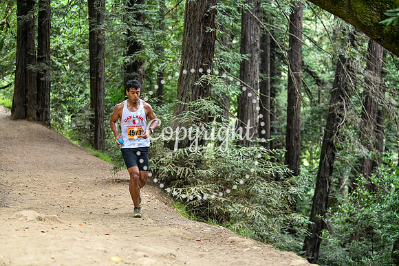 Coastal_RedwoodSummer-084