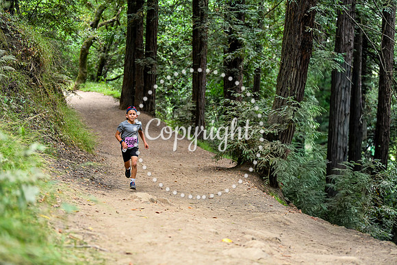 Coastal_RedwoodSummer-044