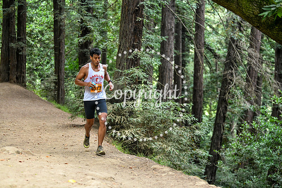 Coastal_RedwoodSummer-083