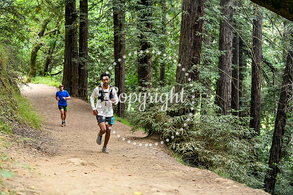 Coastal_RedwoodSummer-059