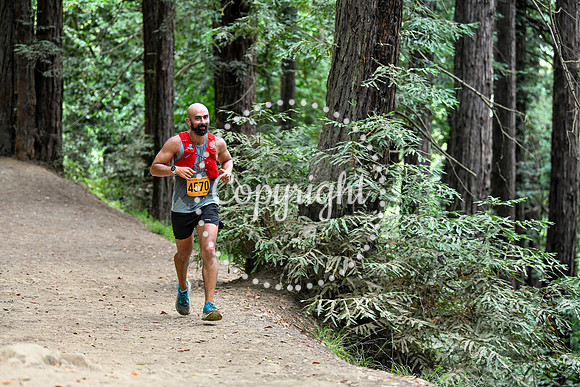 Coastal_RedwoodSummer-038