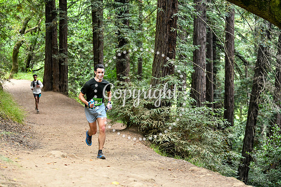 Coastal_RedwoodSummer-065