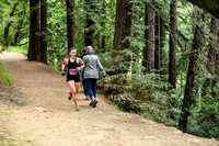 Coastal_RedwoodSummer-002