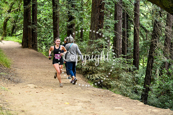 Coastal_RedwoodSummer-002