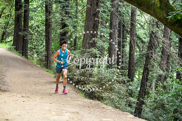 Coastal_RedwoodSummer-088
