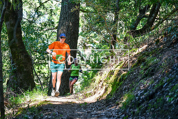 CoastalHorseshoe_Lake-243