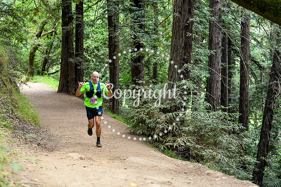 Coastal_RedwoodSummer-050