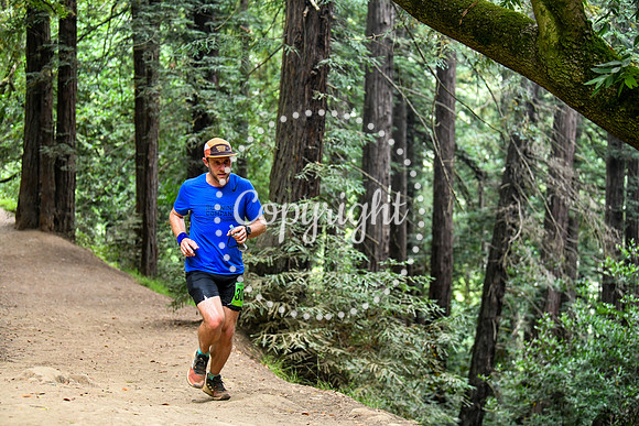 Coastal_RedwoodSummer-053