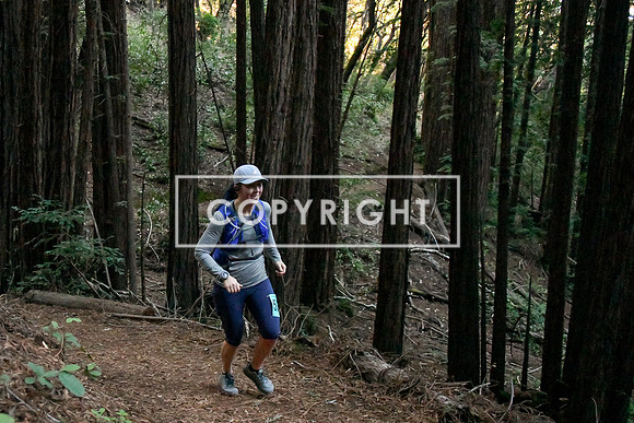 Crystal Springs-0127