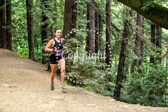 Coastal_RedwoodSummer-001