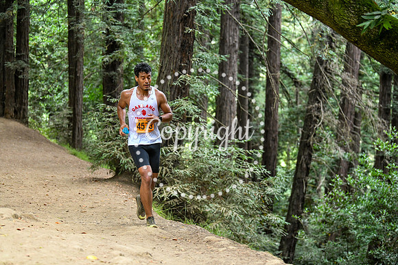 Coastal_RedwoodSummer-081