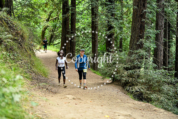 Coastal_RedwoodSummer-030
