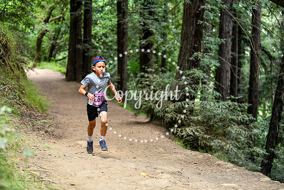 Coastal_RedwoodSummer-041