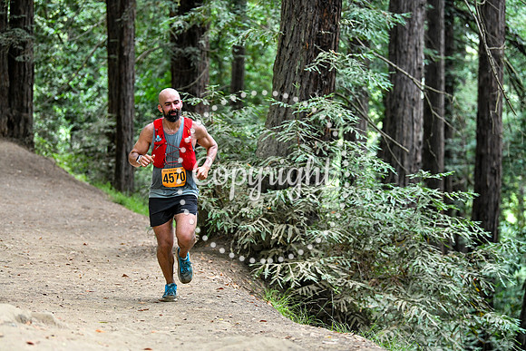 Coastal_RedwoodSummer-035