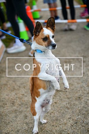 startline_ZoomSF-03