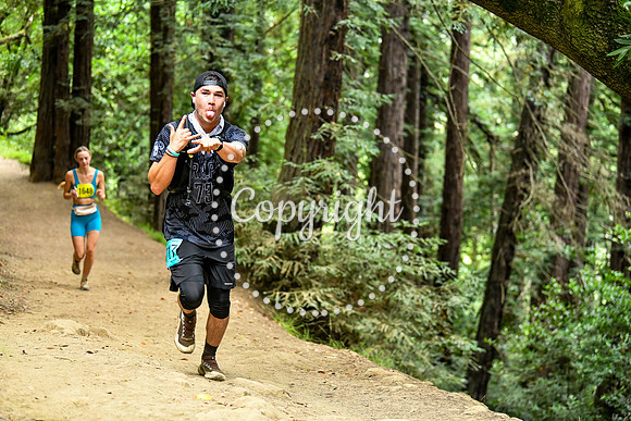 Coastal_RedwoodSummer-019