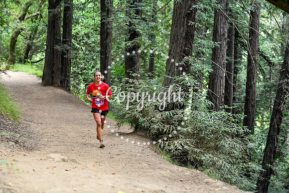 Coastal_RedwoodSummer-071