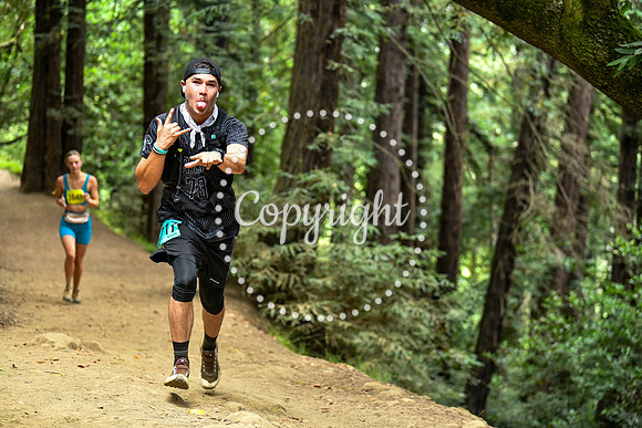 Coastal_RedwoodSummer-018
