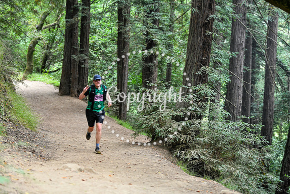 Coastal_RedwoodSummer-078