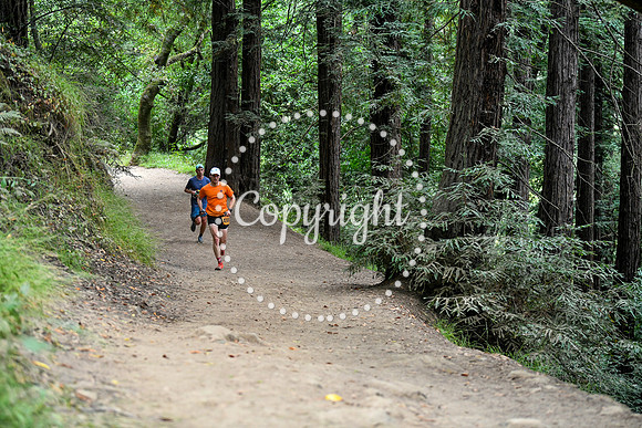 Coastal_RedwoodSummer-097