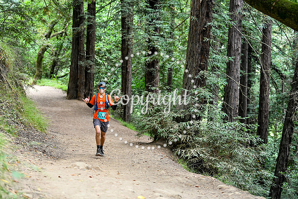 Coastal_RedwoodSummer-106