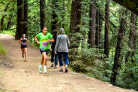 Coastal_RedwoodSummer-004