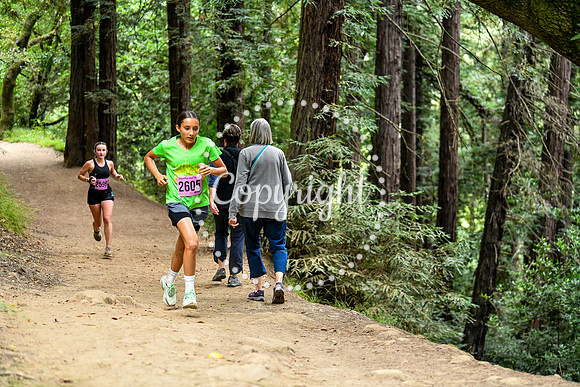 Coastal_RedwoodSummer-004