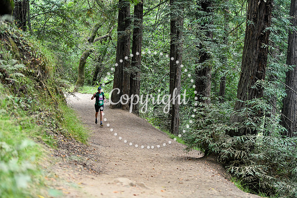 Coastal_RedwoodSummer-080