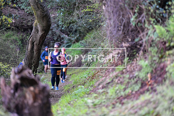 Angel Island-087