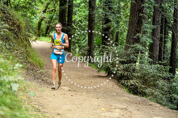 Coastal_RedwoodSummer-015