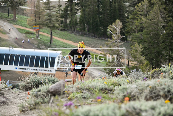 WSER-1481