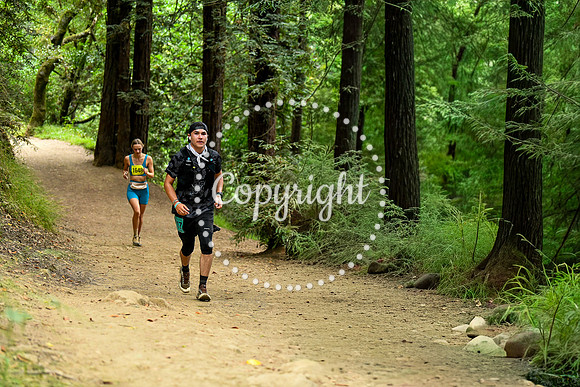 Coastal_RedwoodSummer-025